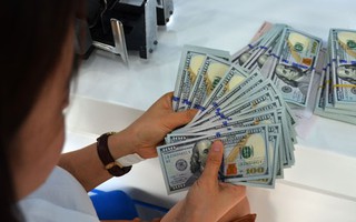 Giá USD tăng mạnh có đáng lo?