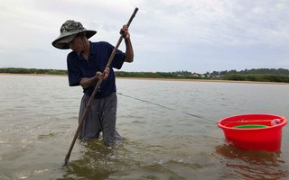 "Cao thủ" bật mí tuyệt chiêu "săn" lịch trên sông Trà Khúc