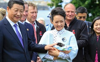 Úc: Bang Tasmania e ngại dự án 100 triệu USD của Trung Quốc
