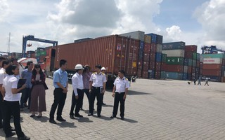 Tìm cách "xử" hàng ngàn container phế liệu tồn đọng