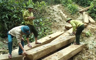 Bị kỷ luật, đội trưởng kiểm lâm vẫn được điều về làm hạt trưởng