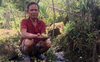 Sự thật về suối "nước đắng" chữa bệnh ở Kon Tum