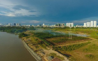 Vụ bán đất Phước Kiển: Phó Bí thư Thường trực Tất Thành Cang có sai phạm