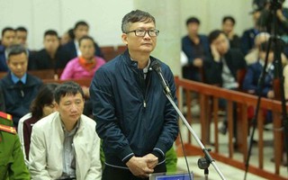 Trịnh Xuân Thanh, Đinh Mạnh Thắng hầu tòa phúc thẩm