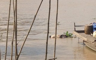 Nghi vấn nam thanh niên nhảy cầu Mỹ Thuận do thua độ World Cup