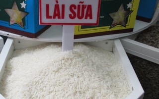Vì sao xuất khẩu gạo sang Trung Quốc đột ngột sụt giảm?
