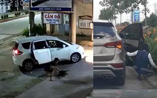 [Video] Dùng xe hơi để đi trộm chó và cây cảnh