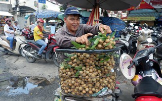 Nhãn xuồng đầu mùa giá cao ngất ngưởng