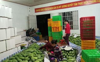 Hàng Việt phải chinh phục người tiêu dùng Việt!
