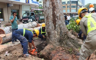 Đề xuất mở rộng loại công việc được sử dụng lao động là người chưa thành niên