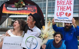 Tai tiếng Monsanto: Cuộc "hôn nhân" tai hại
