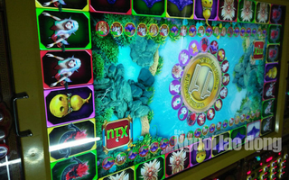 Làm rõ máy casino có dán tem kiểm định của Sở VH-TT-DL Bạc Liêu