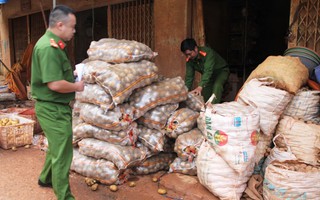 Bắt quả tang nhiều sạp phù phép khoai tây Trung Quốc thành hàng Đà Lạt