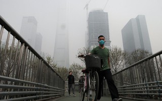 Trồng cây cuồng nhiệt, Bắc Kinh biến thành cái bẫy ô nhiễm khổng lồ?