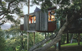 Những ngôi nhà trên cây tuyệt đẹp ai cũng muốn sống thử