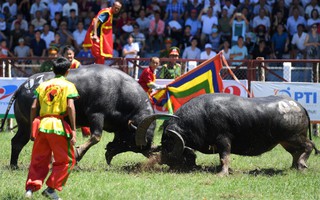 Loại bỏ những hành vi khơi gợi lòng tham trong mùa lễ hội 2018