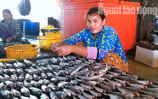 Lý do thu nhập “khủng” dịp Tết ở làng khô Cái Đôi Vàm