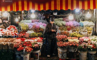Chợ hoa Quảng An sáng đèn, lung linh những ngày giáp Tết