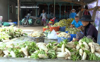 Bí quyết giòn, ngon của làng nghề dưa cải Tết lớn nhất miền Tây