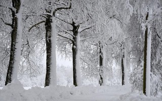 Những khung cảnh mùa đông tuyết phủ trắng xóa đẹp như cổ tích