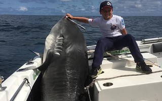 Cá mập 314 kg "thất thủ" trước bé trai 8 tuổi