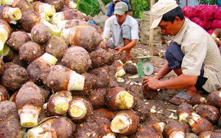 Nghèo khó trên đất đai phì nhiêu