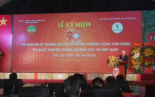 Cao su Việt Nam xuất khẩu đạt giá trị hơn 6,6 tỉ USD