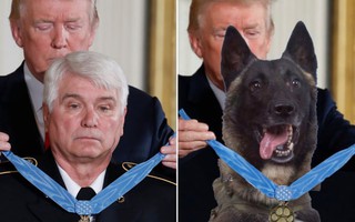 Tổng thống Trump đăng ảnh chế về chú chó dồn trùm IS vào đường cùng