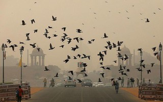 Báo động ô nhiễm không khí ở New Delhi