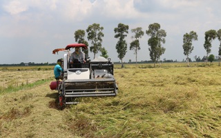 Nhà nông vươn lên làm giàu nhờ Quyết định 68