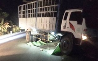 Xe tải tông chết 3 thiếu niên đi xe máy trên đường Hồ Chí Minh