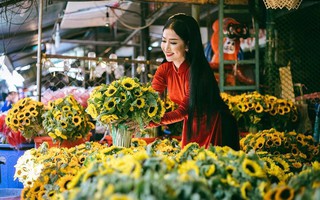 Chuyện vui trường quay ngày Xuân