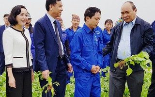 Thủ tướng: “Nông nghiệp, nông dân và nông thôn là chủ trương lớn”