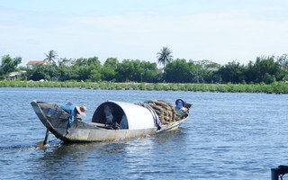 Giải phóng sức sáng tạo