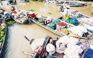 Người đàn bà "chòng chành" cùng chiếc ghe ở Ngan Dừa