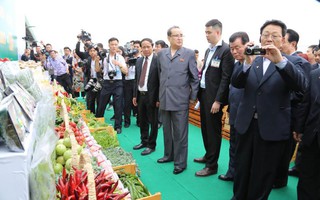 Việt Nam - Triều Tiên là quan hệ máu thịt