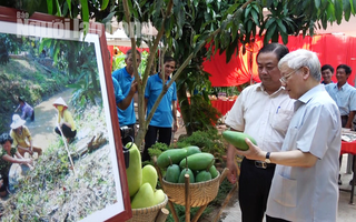 Xuân về trên các Hội quán nông dân ở Đồng Tháp