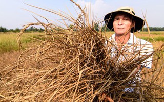 HẠN MẶN KHỐC LIỆT ÁM ẢNH MIỀN TÂY (*): Biến trở ngại thành cơ hội