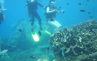 Lặn biển, không được phá san hô