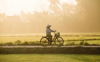 Đi đâu chơi nếu chỉ có một ngày ở Hội An?