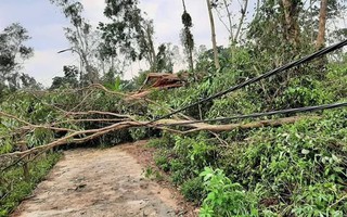 Lốc xoáy kinh hoàng gây thiệt hại nặng ở Quảng Nam