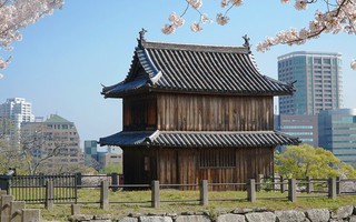 Thành cổ hơn 400 năm ở Nhật ngập trong sắc hoa anh đào