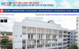 3 sếp ở Quỹ Bảo lãnh tín dụng TP HCM làm liều