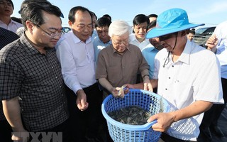 Hình ảnh Tổng Bí thư, Chủ tịch nước Nguyễn Phú Trọng làm việc ở Kiên Giang