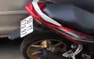 Video: CSGT truy đuổi ô tô 7 chỗ nghi vấn "như phim hành động"