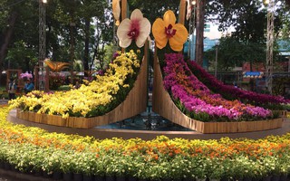 Festival Hoa lan TP HCM khai mạc, miễn phí cho khách tham quan