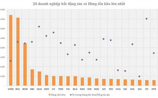 20 doanh nghiệp địa ốc đang "ôm" hơn 7,4 tỉ USD hàng tồn kho