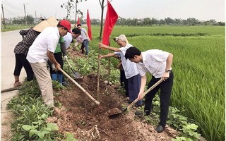 Hà Nội: Tạo mảng xanh cho vùng nông thôn mới