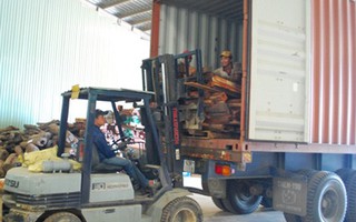 Khởi tố vụ án bán vật chứng trong vụ án gỗ trắc lậu tại Đà Nẵng