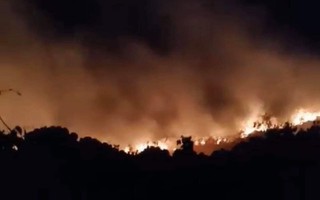 Cháy hơn 5.000 m2 thực bì trên núi Sơn Trà